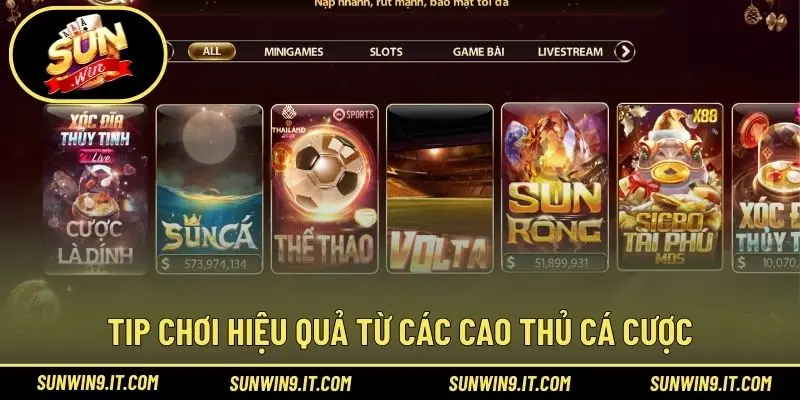 Tip chơi hiệu quả từ các cao thủ cá cược