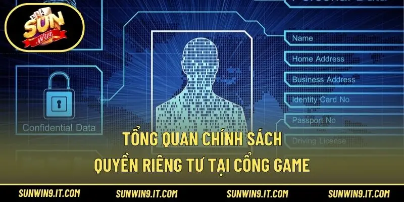Tổng quan chính sách quyền riêng tư tại cổng game